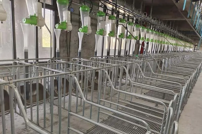 3S LIFT Ladder Hoist: Empowering Indonesian Client with Efficient Solar Panel Installation